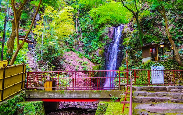 神奈川県湯河原、木のぬくもり感じる佇まい。古き良き日本の雰囲気を漂わせるお宿