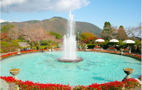 ＼8月スタート／自然が美しい箱根の老舗旅館でリゾートバイト！【毎日温泉で美肌効果も期待♪】調理補助のお仕事です♪