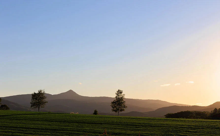 未経験者歓迎☆大人気ニセコの温泉宿でリゾートバイト【特典☆スキー場リフト券付き☆】
