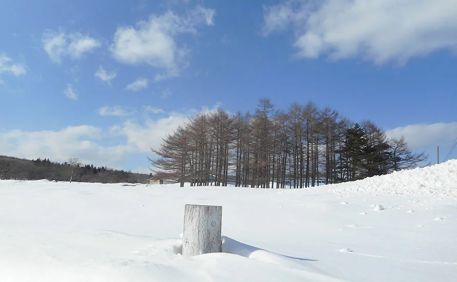 【無料リフト券付き】12月スタート❄安比高原のスキー場の募集🙌温泉にも毎日入れる特典付き♨