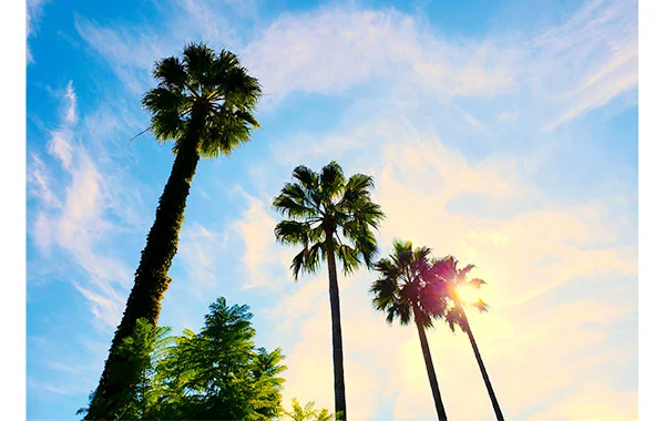 熱海を一望できる大型ホテルでリゾートバイト★和風の落ち着いた雰囲気です！