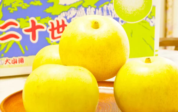 求人メイン