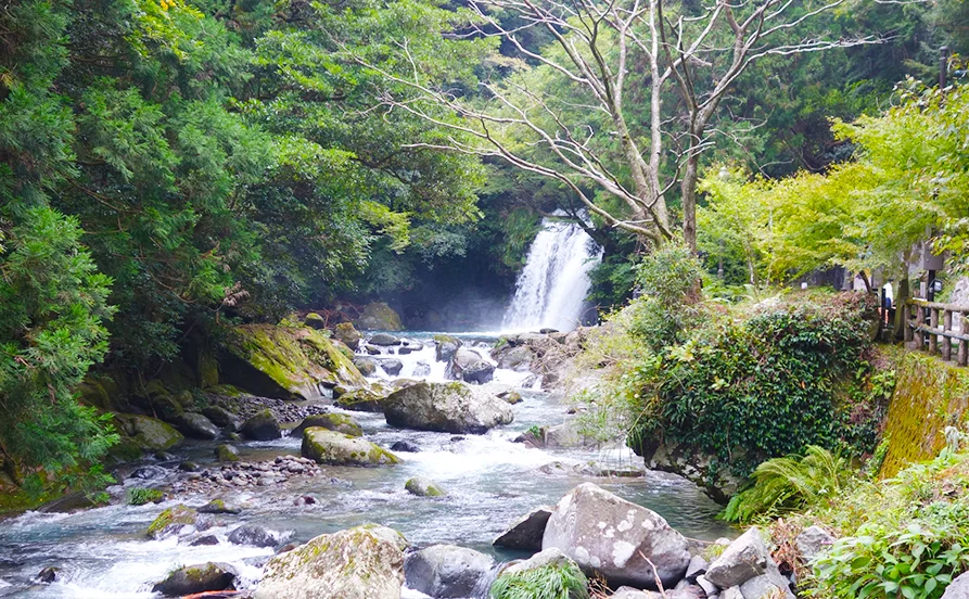 ＼人気の伊豆エリア／ペットホテルでワンちゃんに癒されながらリゾートバイト【東京までも2時間圏内】シニアもOK！