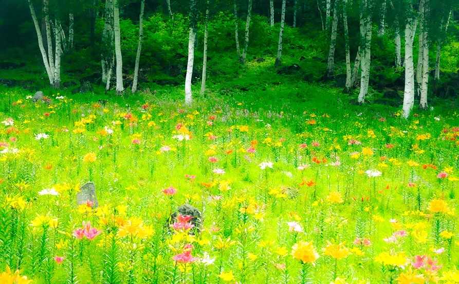 HP用スライダー画像2（右上）