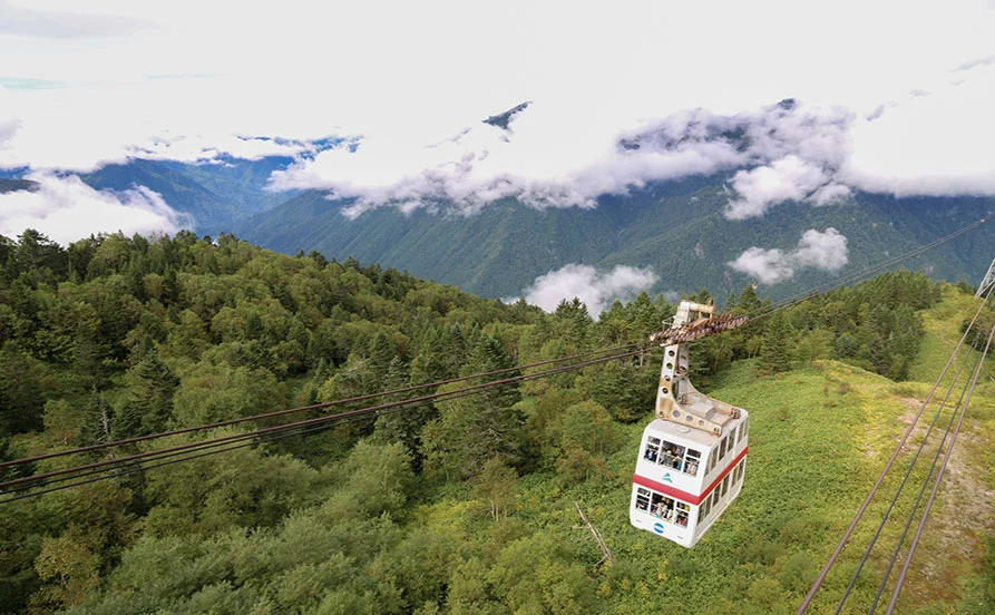 量環境画像（右下の画像）