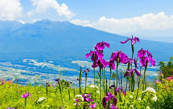 年末年始シーズンにオススメ！【短期＆高時給】賢くお金を貯めたい方必見です☆英国の雰囲気漂うホテルでリゾートバイト