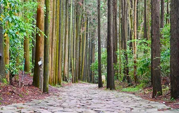 求人メイン