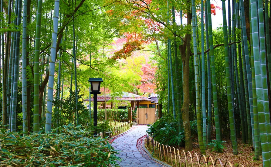 高時給のおススメ求人✨東伊豆のリゾートホテルで仲居さんのお仕事♪寮環境もバッチリ◎