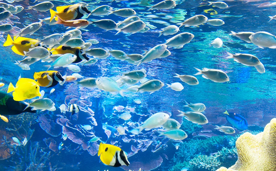 HP用スライダー画像1(左半分)