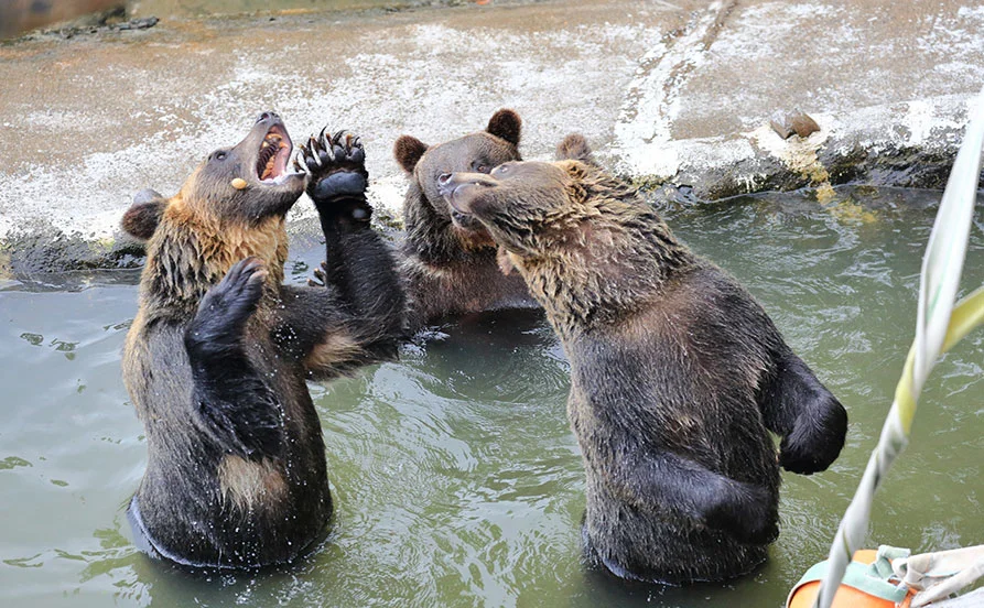 HP用スライダー画像2（右上）