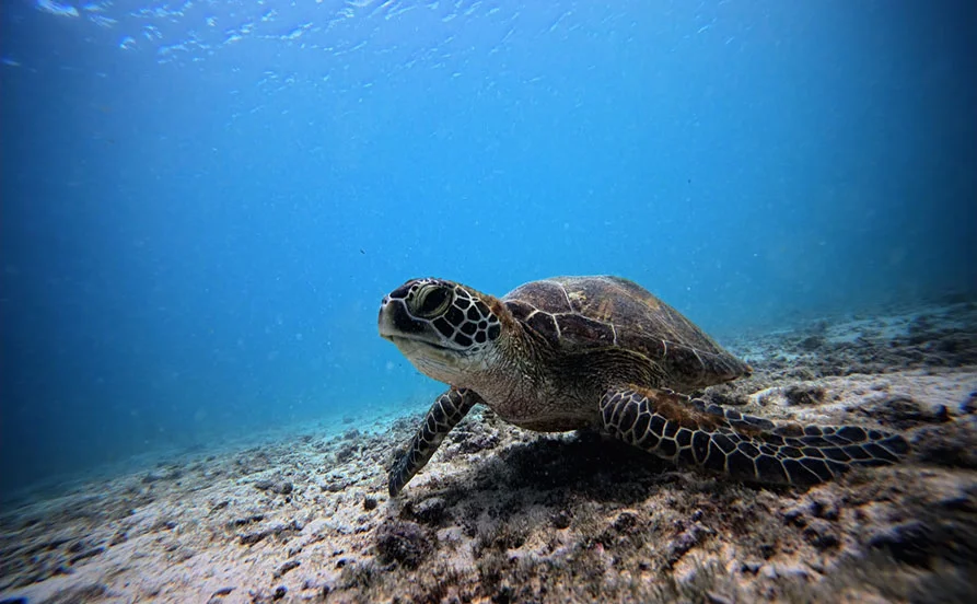 HP用スライダー画像2（右上）