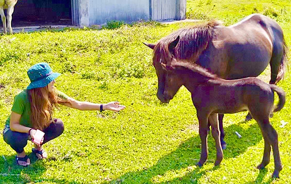 HP用スライダー画像2（右上）