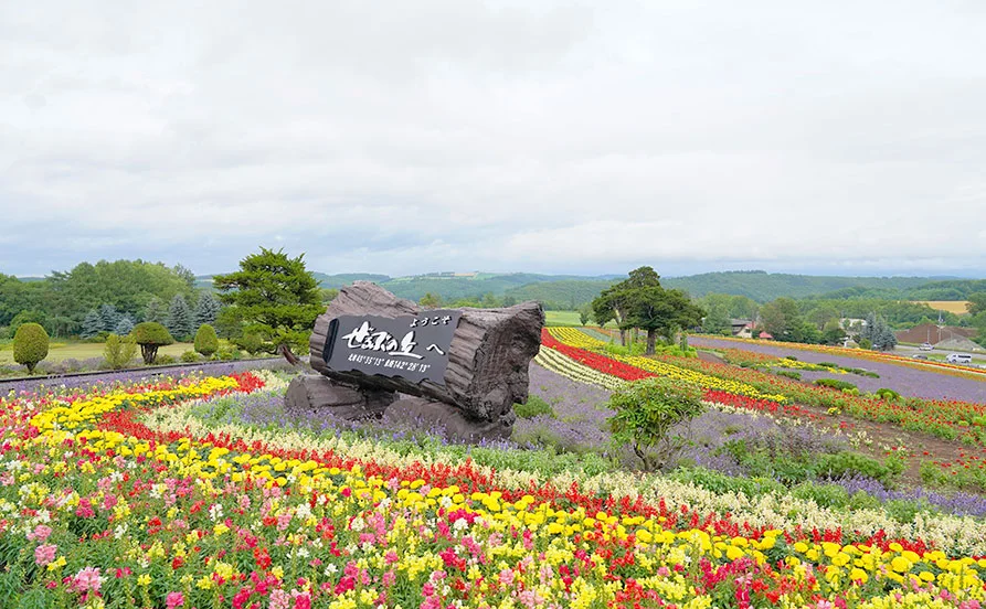 髪色自由／ピアスOK／タトゥーOKのハンバーガー屋さんの募集🙌通し勤務で働けますよ♪【北海道 美瑛】
