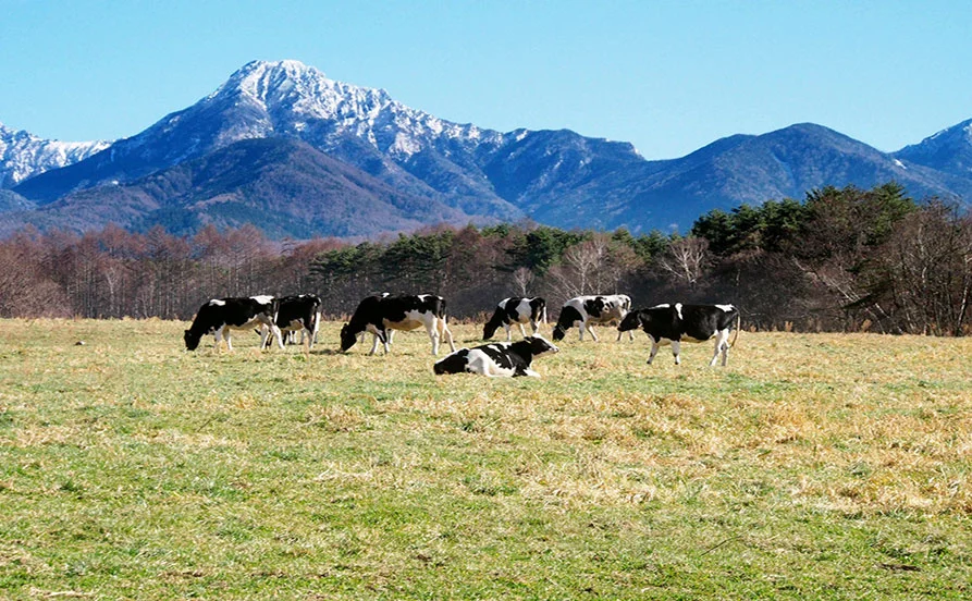 HP用スライダー画像2（右上）