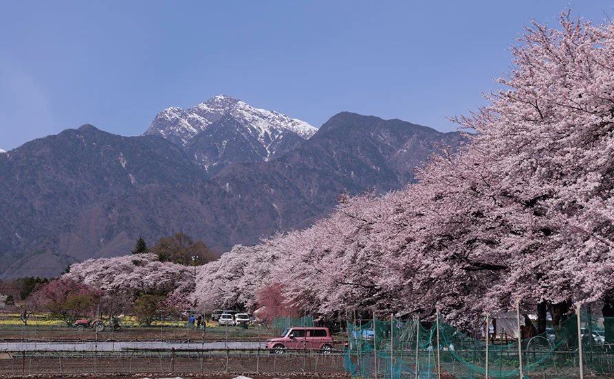 自然派さんにおすすめ！八ヶ岳の森に囲まれたグランピング施設【通しシフト】レア職種グランピング・キャンプSTAFF