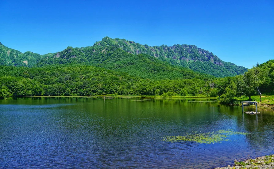 量環境画像（右下の画像）