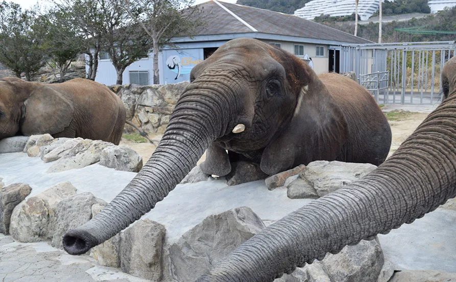 年末年始の短期で働きたい!そんな方にオススメ☆人気職種!売店のお仕事☆【寮費無料×食事提供もあり】ハイクラス会員制ホテル