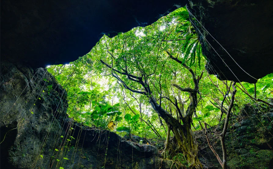 ＼1月スタート／海を臨むホテル✨周辺にはコンビニ、スーパーも！寮は嬉しい個室タイプ♪満了率◎