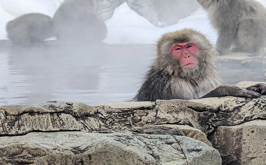 量環境画像（右下の画像）