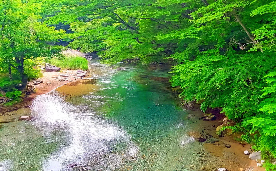 優しいスタッフさん ばかりで人間関係も良好😊《プールやジム、温泉も利用OK！》とにかく稼ぎたい方にもおすすめ✨