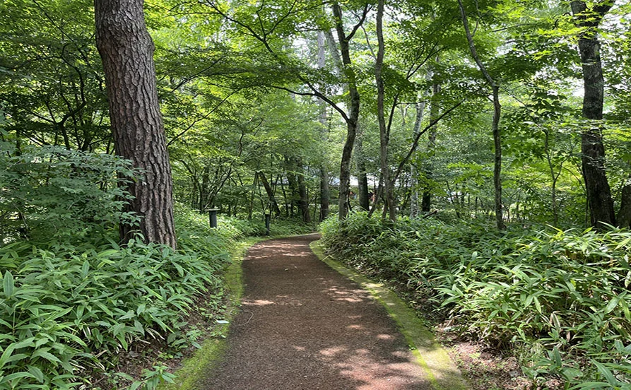量環境画像（右下の画像）