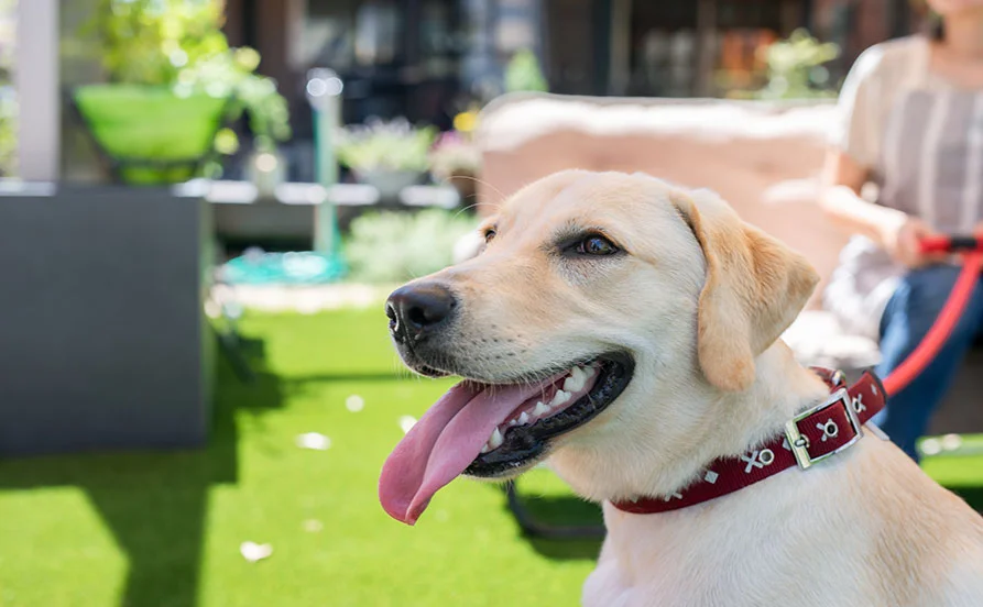 HP用スライダー画像2（右上）