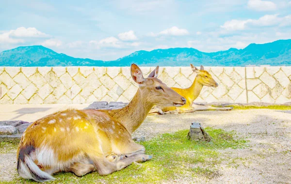 HP用スライダー画像2（右上）