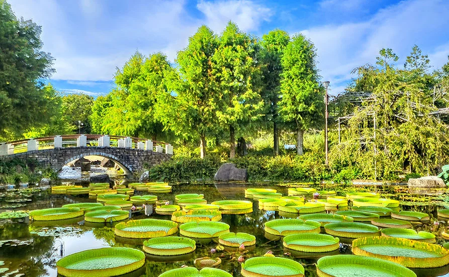 HP用スライダー画像2（右上）