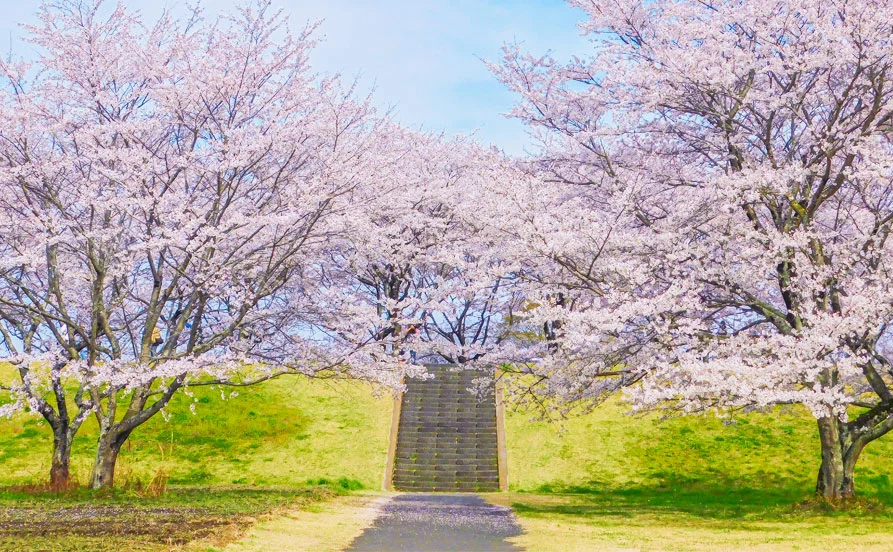 【4月のリゾートバイト】温泉地として有名✨鬼怒川温泉でリゾートバイトをしてみよう♪寮個室＆寮費無料の人気求人🙌