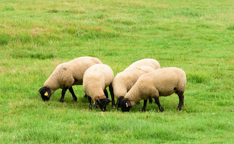 HP用スライダー画像2（右上）