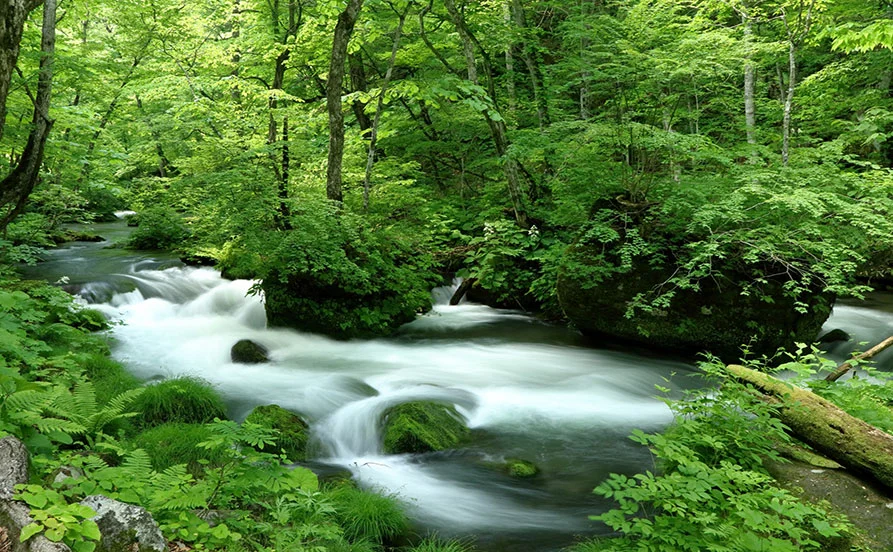 HP用スライダー画像1(左半分)