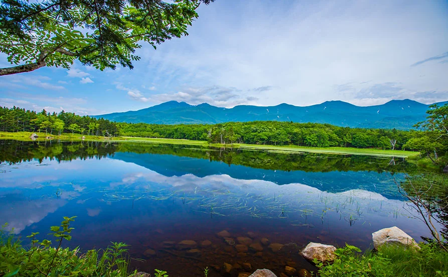 HP用スライダー画像2（右上）