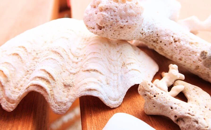 HP用スライダー画像2（右上）