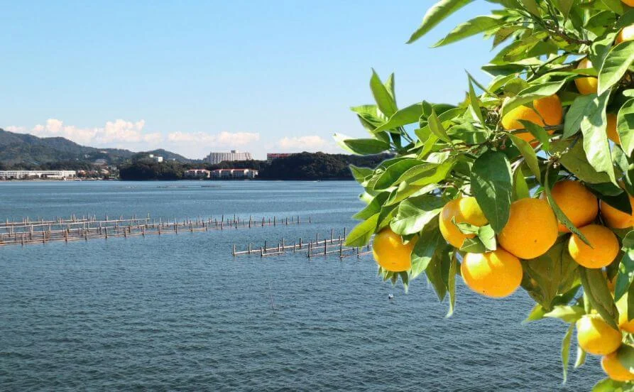 量環境画像（右下の画像）