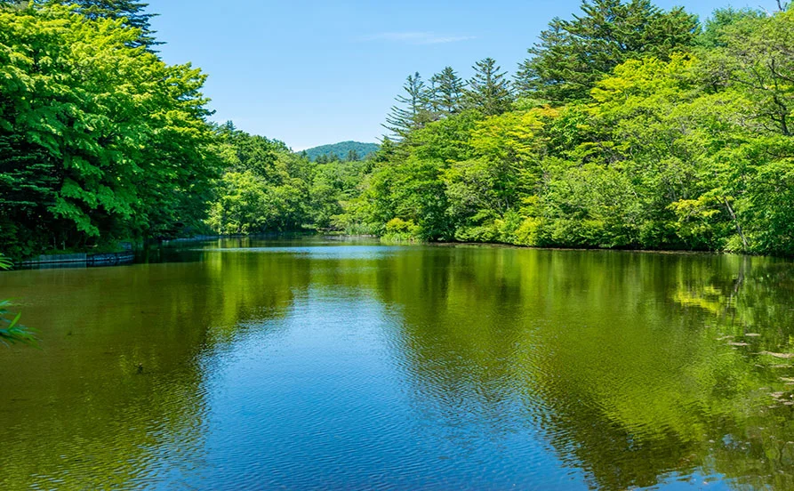 長野県 軽井沢【大自然の中に佇むハイクラスホテル】通し勤務のリゾートバイト
