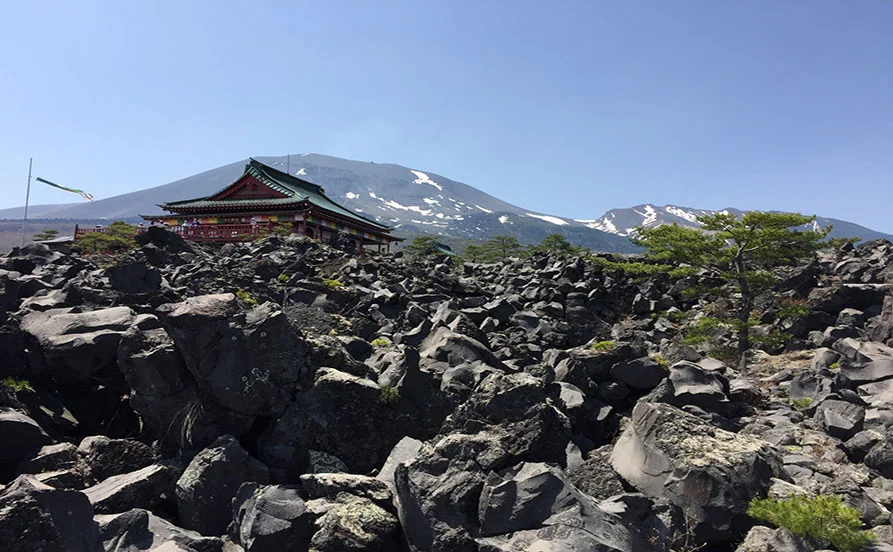 求人メイン