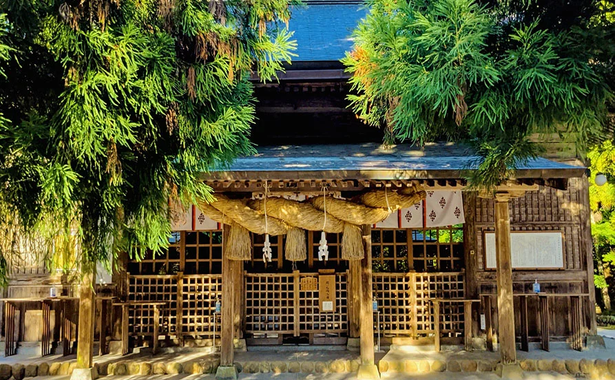 量環境画像（右下の画像）