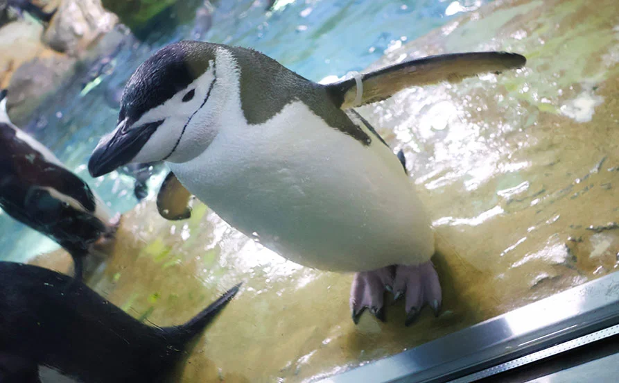 HP用スライダー画像1(左半分)