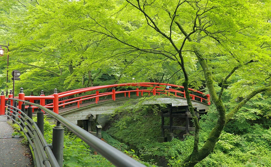 HP用スライダー画像2（右上）