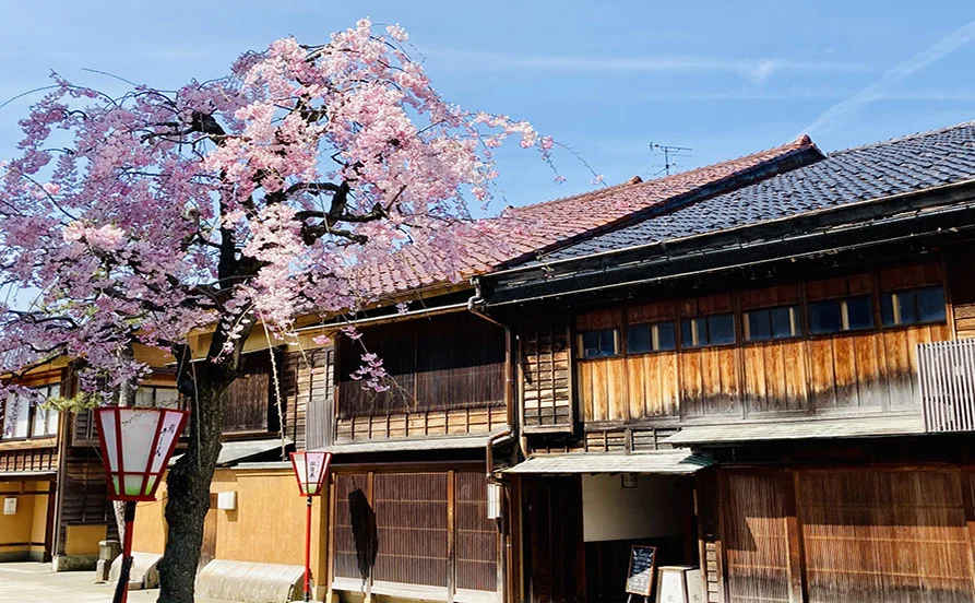 量環境画像（右下の画像）