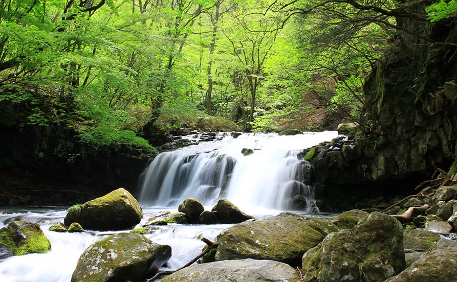 HP用スライダー画像2（右上）