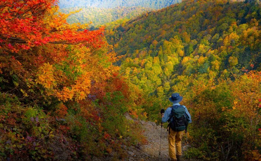 紅葉色づくシーズン🍁福島屈指の温泉地♨会津芦ノ牧でリゾートバイトしませんか？【寮費食費無料✨】