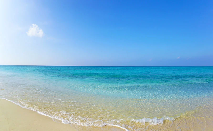 目の前には青い海と白い砂浜の絶景✨【沖縄本島🌴恩納村】髪色明るめ×未経験者も応募OK