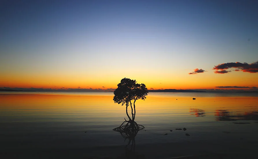 HP用スライダー画像2（右上）