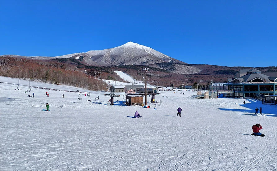 求人メイン