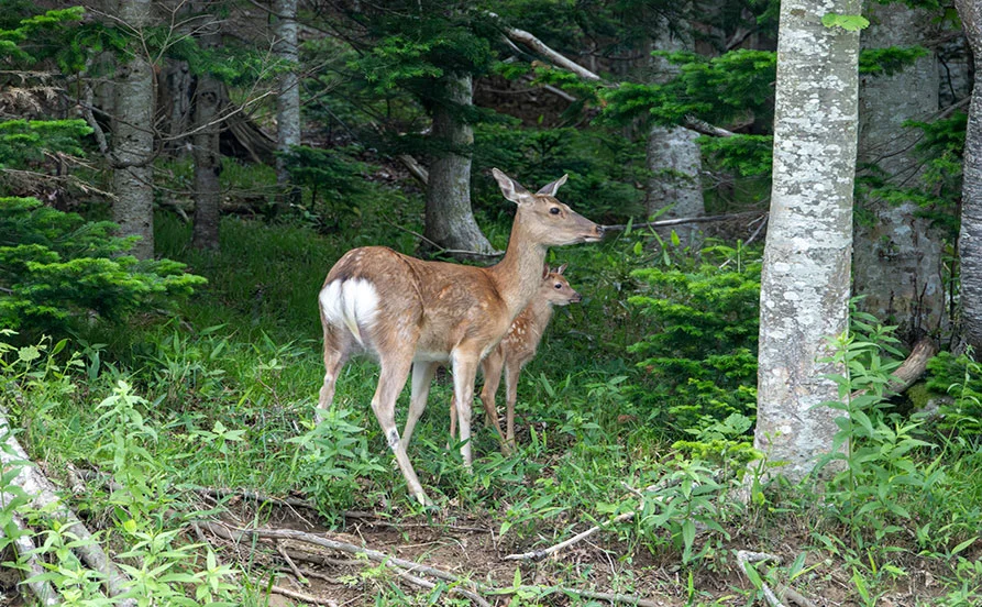 量環境画像（右下の画像）