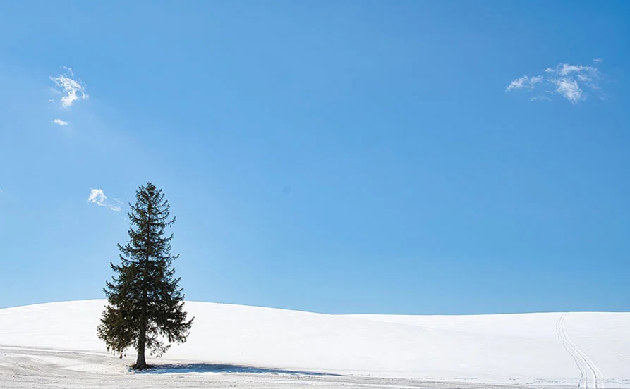 人気エリア北海道🌈富良野／未経験者OKリゾートバイトでました☆個室寮でWi-Fi付き／通し勤務