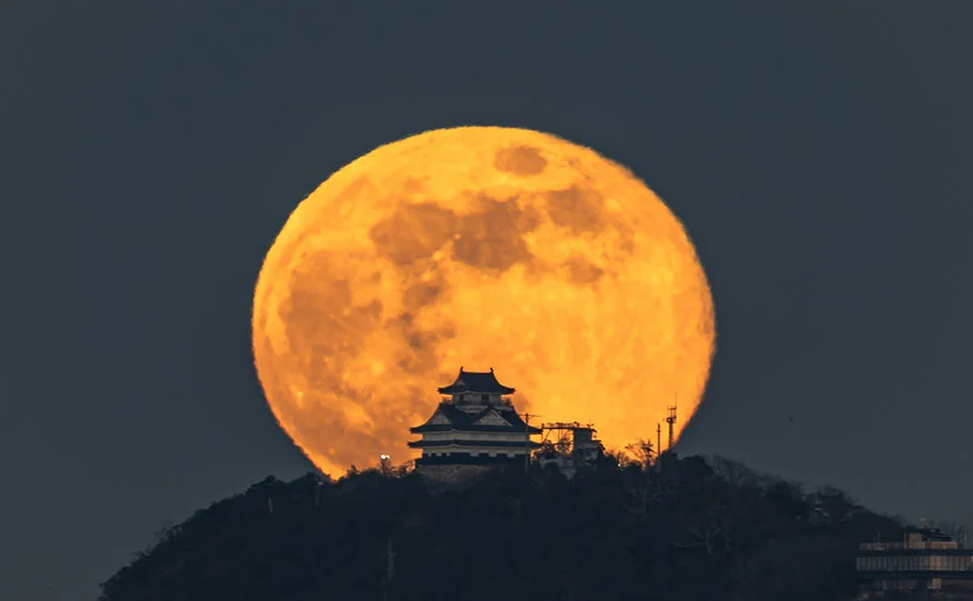 求人メイン