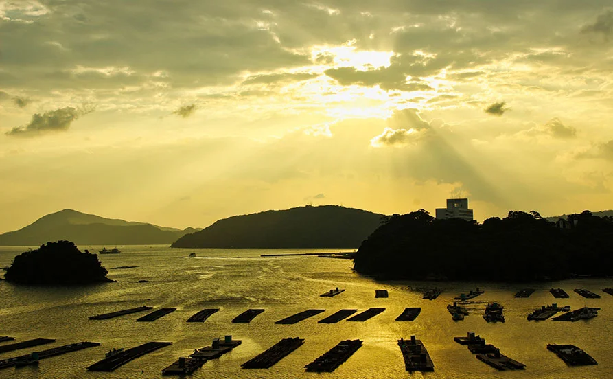 HP用スライダー画像1(左半分)