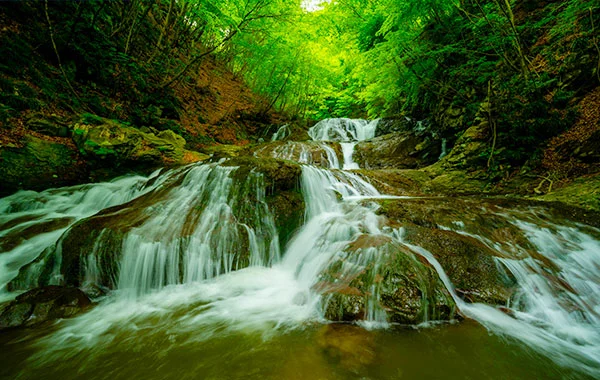 量環境画像（右下の画像）